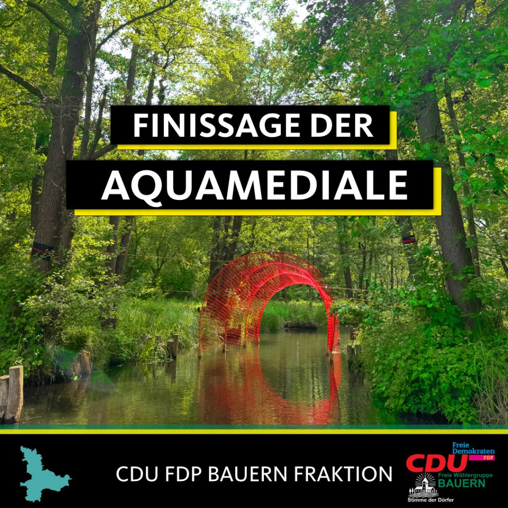 Finissage der Aquamediale